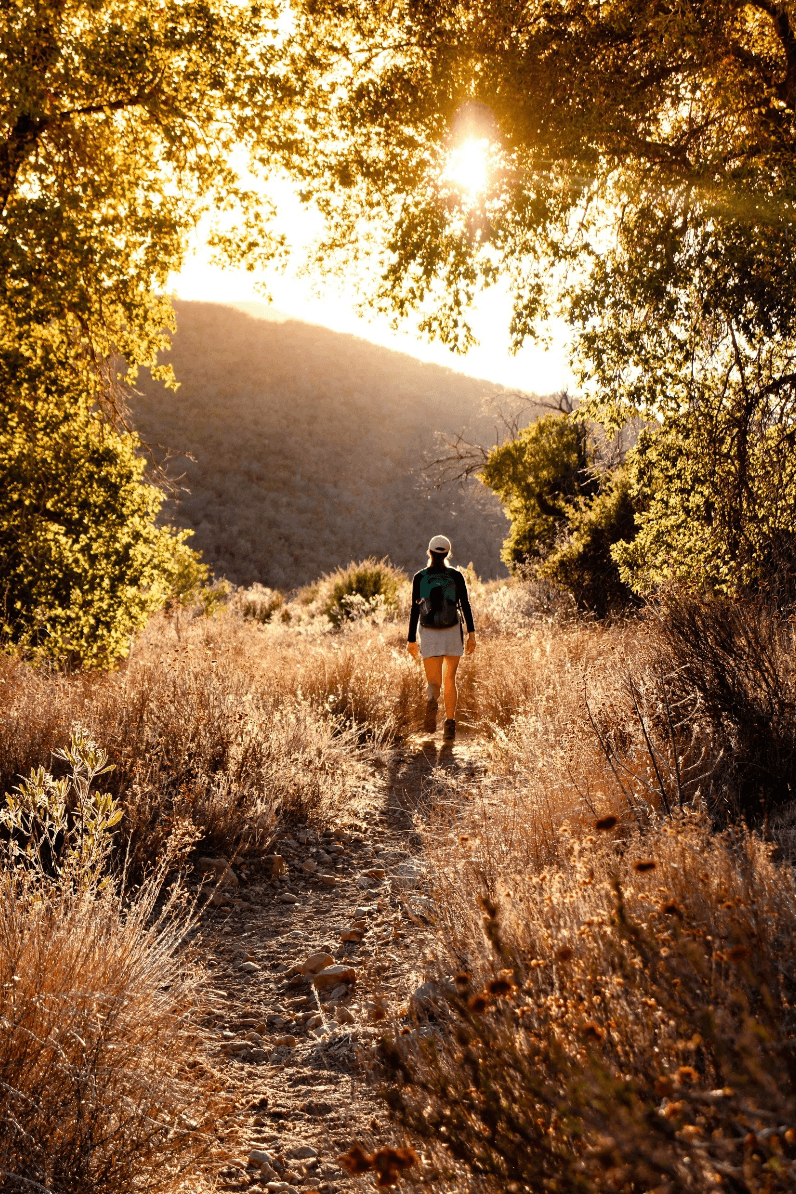 A person walking a sunlit path through golden grass and trees