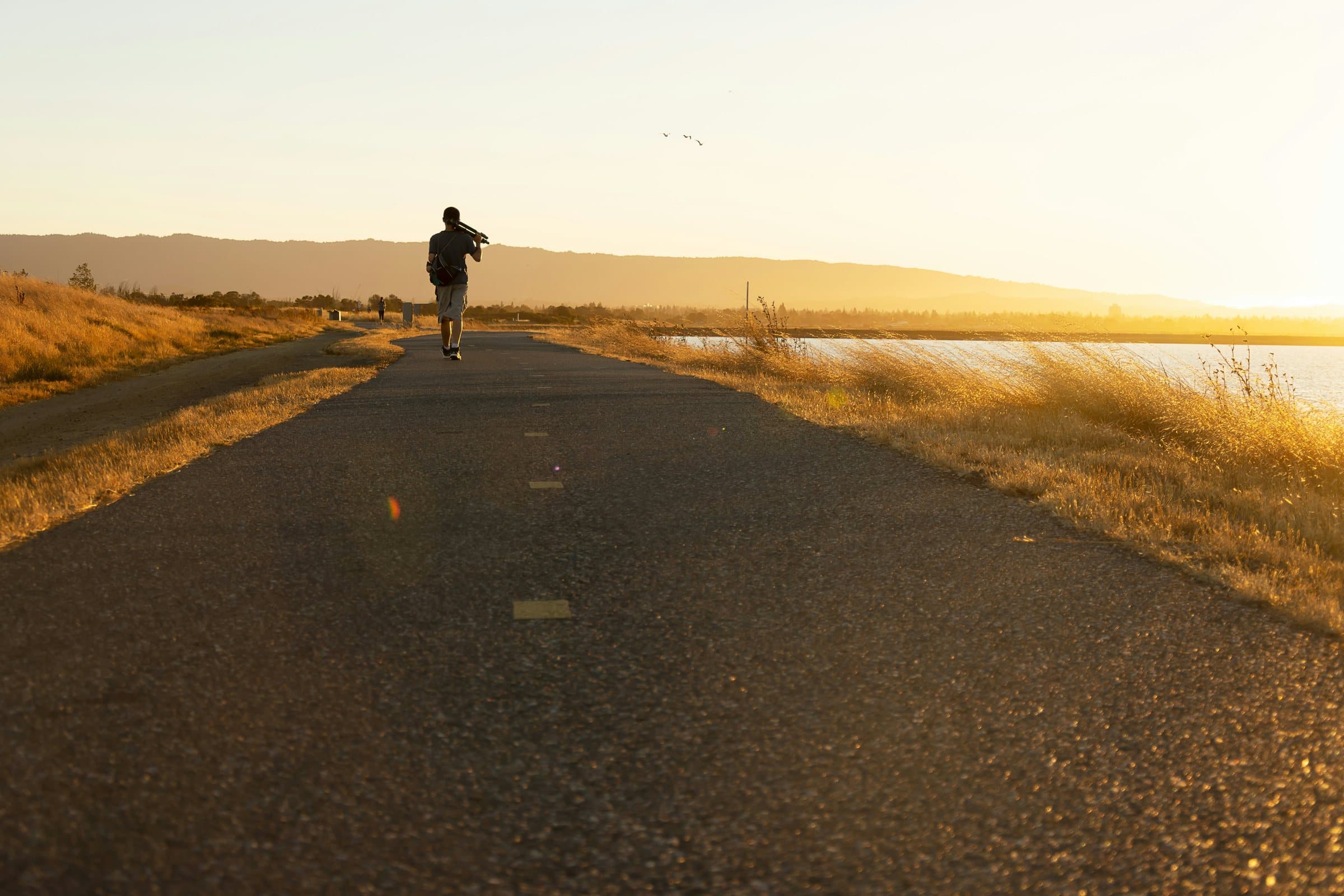 A person walking a sunlit path at dawn beside still water